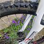 Bike Image 2
