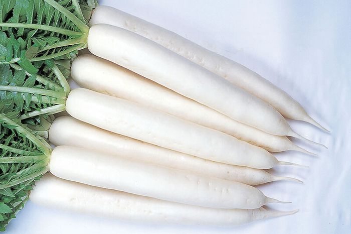 (R) Radish Minowase Summer Cross Seeds 3g | Sow July - August