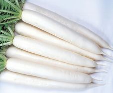 (R) Radish Minowase Summer Cross Seeds 3g | Sow July - August