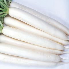(R) Radish Minowase Summer Cross Seeds 3g | Sow July - August