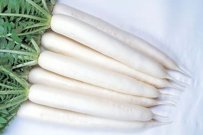 (R) Radish Minowase Summer Cross Seeds 3g | Sow July - August