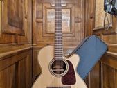 Takamine P5NC