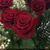 dimples085