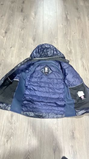 canada goose