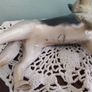 large Slyvac German Sheppard Dog Figurine+ Another Image 3