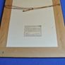 Beautiful Professionally Framed Picture - Daffodils Image 3