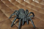 3D Printed Articulated Spider Tarantula Halloween Toy