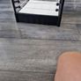 wrestling ring Image 4