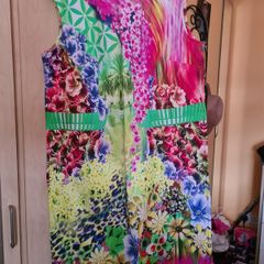 Ladies Dress