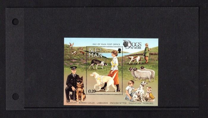 1996 Isle of Man Dogs (Labrador Guide Dog) Commemorative Stamp Miniature Sheet Presentation Pack