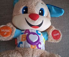 Fisher price teddy