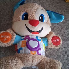 Fisher price teddy