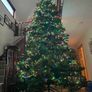Christmas tree 15ft Image 4