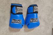 Boxing Gloves (competition)