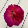 Bright Pink Felt Brooch Image 4