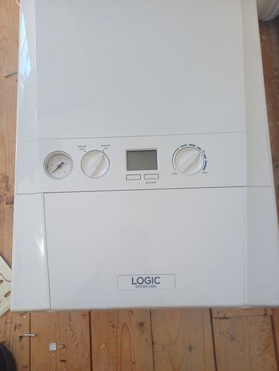 Gas Boiler & Flu