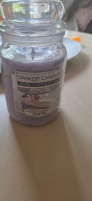 yankee