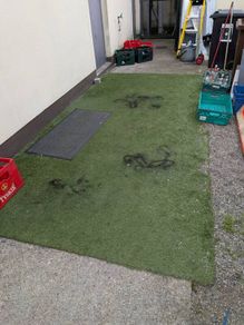 artificial grass