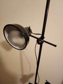 Standing light