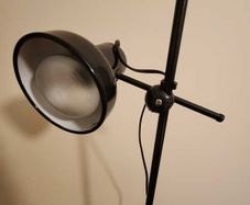 Standing light