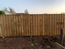 Garden Fencing Image 6