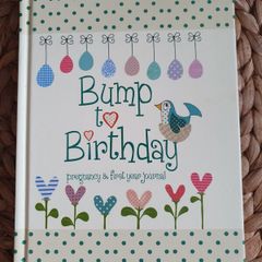 Bump to Birthday pregnancy and first year journal