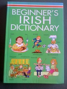 Beginner's Irish Dictionary Gaeilge Irish language Ireland