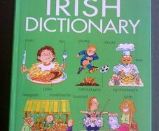 Beginner's Irish Dictionary Gaeilge Irish language Ireland