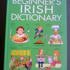Beginner's Irish Dictionary Gaeilge Irish language Ireland