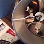 lamp shades Image 3