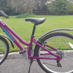 Ridgeback bike
