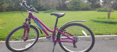 Ridgeback bike