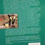 The Archaeology of the Boyne Floodplain Image 2