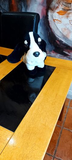Bassett  Hound  Hush Puppies