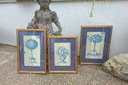 Nice set of 3 Vintage Botanical prints on woven Linen