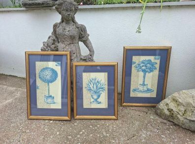 Nice set of 3 Vintage Botanical prints on woven Linen