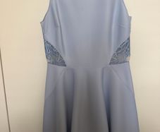 ted baker dress