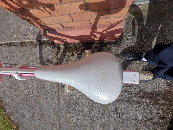 GIRLS BIKE (Sparkle) with Basket, 20 inch wheels, in excellent condition. See Pictures