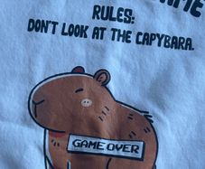 Capybara jumper by lemon tee