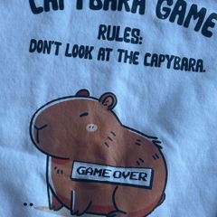 Capybara jumper by lemon tee