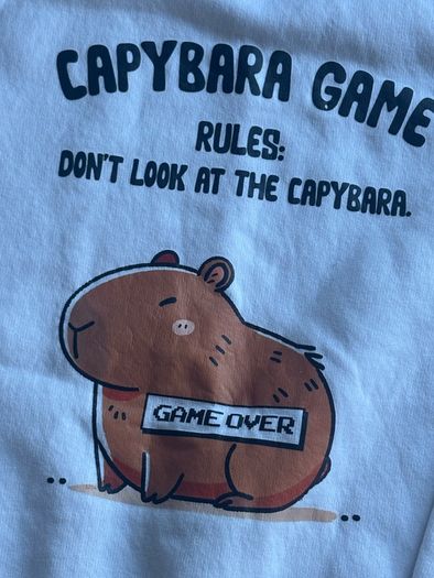 Capybara jumper by lemon tee