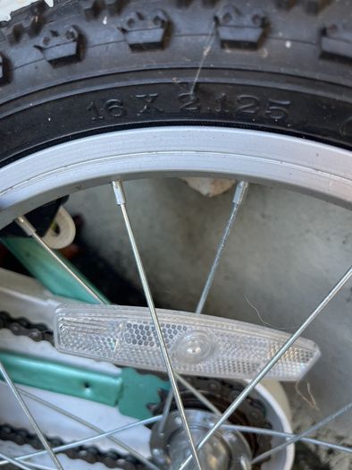 Free bike kid