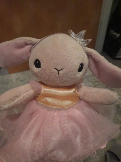 cute ballerina rabbit