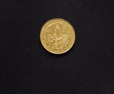 Notre Dame De Lourdes - 160th Anniversary of The Apparition -  Medallion/Token : 2018