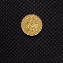 Notre Dame De Lourdes - 160th Anniversary of The Apparition -  Medallion/Token : 2018