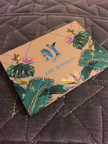 morphe babe in paradise pallet