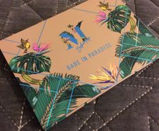 morphe babe in paradise pallet