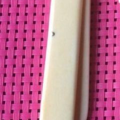 Antique Fruit Knife