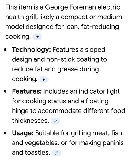 George Foreman Family Grill
