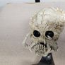 Predator Skull Image 3